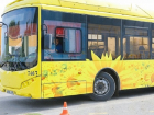 Волгоградским дачникам выделили 13 новых автобусов с кондиционерами