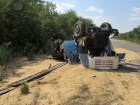 Угонщик опрокинул грузовик с зерном из Волгоградской области