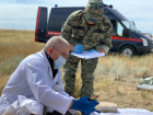 В Волгограде приступили к эксгумации останков зверски убитых фашистами детей и взрослых