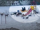 В Волгограде стаи бродячих собак нападают на людей: облздрав призвал население прививаться от бешенства