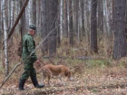 В Волгоградской области разрешили охотиться на дичь