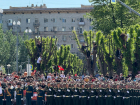 Деревья стали вип-ложой для резвых зрителей парада в Волгограде