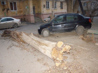 Деньги за рухнувшее на автомобиль жителя Волгограда дерево вернули только после обращения в приемную Путина