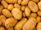 Большинство опрошенных волгоградцев пожаловались на «космическое» подорожание картошки