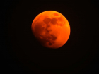 Кровавое затмение увидят в Волгограде впервые за 7 лет