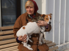 В Волгограде беженку из Донбасса смог принять только приют для бездомных животных