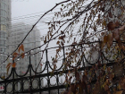 Туман и приятный мороз проводят волгоградцев на выходные
