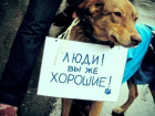 Зоозащитники Волгограда требуют "посадить" живодерок из Хабаровска, вспарывающих животы щенкам