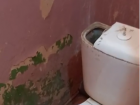 Чиновники объяснились за позорный школьный туалет под Волгоградом