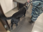 В Волгограде подготовятся к терактам в школах