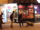 «Почему человек ходит по улицам с ножом»: жестокую расправу над алабаем обсуждают в Волгограде