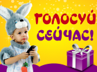 Стартовало голосование в конкурсе «Лучший детский новогодний костюм»