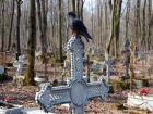Волгоградцы смогут резервировать места на кладбище рядом с родственниками