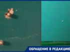 Чиновники сняли трубу с запахом канализации и забыли о проблеме девушки с ДЦП в Волгоградской области 