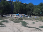 Волгоград ждет массовая травля крыс: новый регоператор провалил обещание расчистить мусор за месяц
