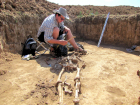 Волгоградские археологи нашли редкие артефакты раннего железного века