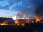 Пламя подбирается к гаражам на севере Волгограда – видео 