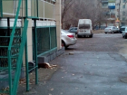 Волгоградка отравила собак на глазах у детей