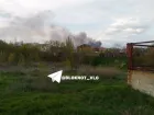 Царицынская пойма загорелась в Волгограде 