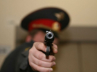 Волгоградский полицейский застрелил собаку из табельного оружия