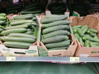 "Золотые" огурцы дороже свинины и курицы: новое подорожание в Волгограде