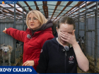 Смерть грозит почти двум тысячам животных в крупнейшем приюте Волгограда