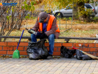 Зарплата немецкого сборщика мусора в 4 раза выше обычного волгоградца