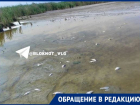 «Нечем поить скотину, стоят огороды»: волгоградское село погибает без питьевой воды