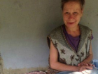 В Волжском бездомные воруют корм уличных кошек