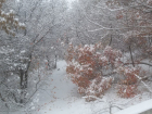 Снежный Волгоград ждут "ноль", туман и мокрые осадки