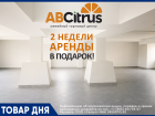 2 недели аренды — в подарок!