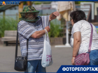 Распухает как от аллергии: жители Волгограда массово страдают от нового вида мошки