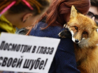 Акция против убийства ради пафоса прошла в центре Волгограда