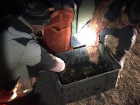 Браконьеров с 133 кг рыбы поймали в Волгоградской области