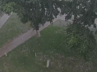 Сорванный шифер и поваленные деревья: последствия шторма разгребают в Михайловке