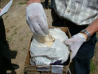 В Волгоградской области за 10 дней изъято более 10 кг наркотиков