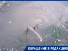 Волгоградцы массово жалуются на нехватку горячей воды