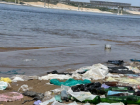 «Настоящий свинарник»: волгоградцы показали замусоренный пляж на Бобрах
