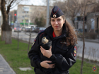 Волгоградские полицейские спасли хищную птицу от гибели 
