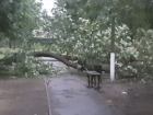 В Волгоградской области бушует мощный ураган с ливнем: видео 