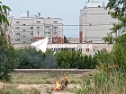 "Он жжет провода посреди улицы!": волгоградцы сняли на видео возгорание  