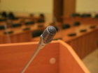 Волгоградские депутаты планируют перейти на «удаленку»