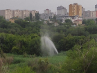 Водяной столб высотой с дерево сняли на видео в центре Волгограда
