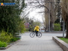 Эксперты заявляют: велокурьеры в Волгограде могут зарабатывать до 80 тысяч рублей