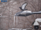В Волгоградскую область идут 15-градусные морозы 
