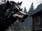 Об очередном нападении волков заявляют волгоградцы