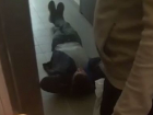 Странный диалог с уснувшим под чужой дверью волгоградцем попал на видео 