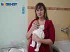 Одного из малышей уникальной четверни из Волгоградской области прооперируют в Москве