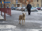 Экстренное предупреждение объявили в Волгоградской области 