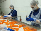 На миллиардные обороты нацелился амбициозный волгоградский производитель